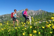 PIZZO ARERA (2512 m) ad anello, salito dalla cresta est e sceso dalla sud il 26 giugno 2018 - FOTOGALLERY